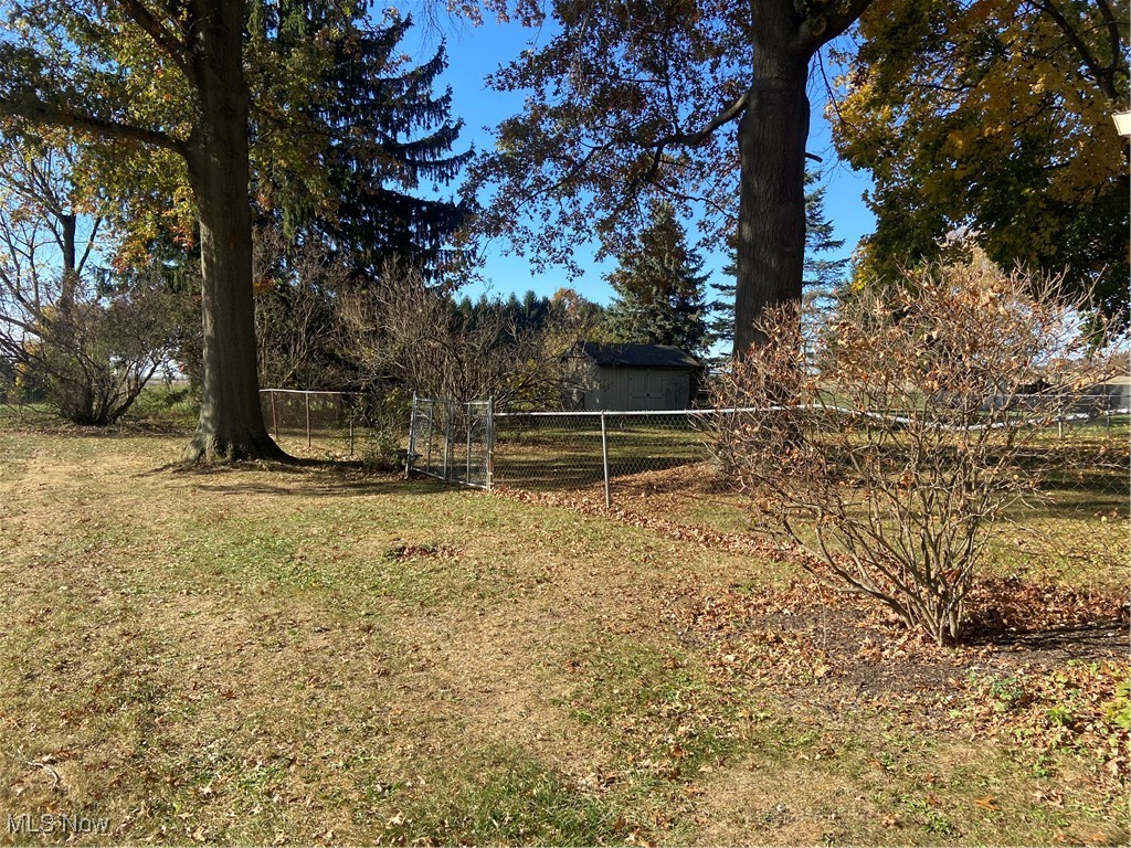 4842 Emalene Road Wooster, OH 44691 - Photo 26 of 30 View of yard