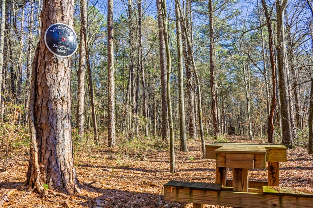 333 Match Play Lane Westminster, SC 29693 - Photo 22 of 50