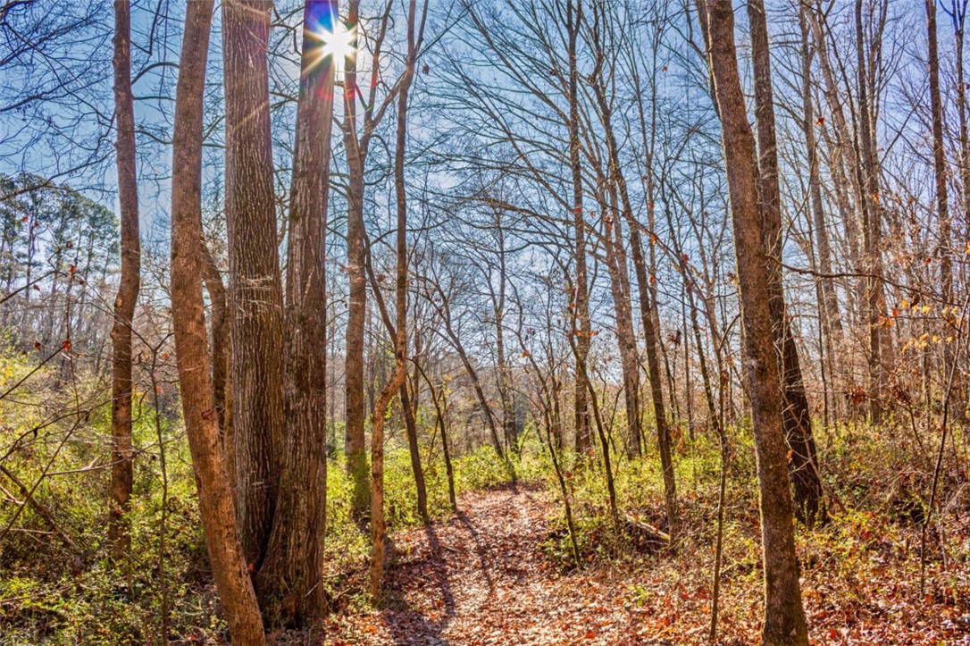333 Match Play Lane Westminster, SC 29693 - Photo 24 of 50