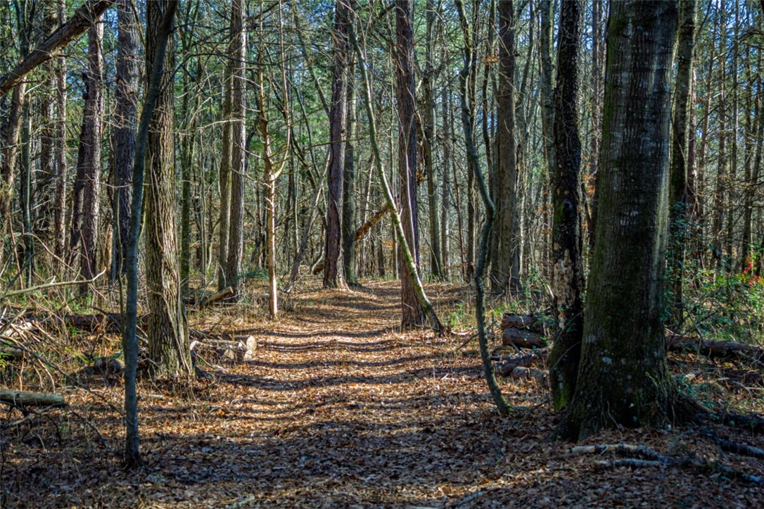 333 Match Play Lane Westminster, SC 29693 - Photo 44 of 50