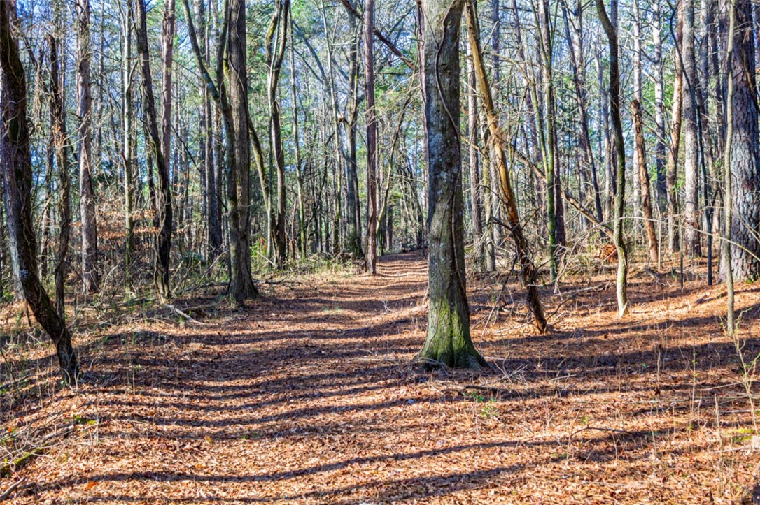 333 Match Play Lane Westminster, SC 29693 - Photo 45 of 50