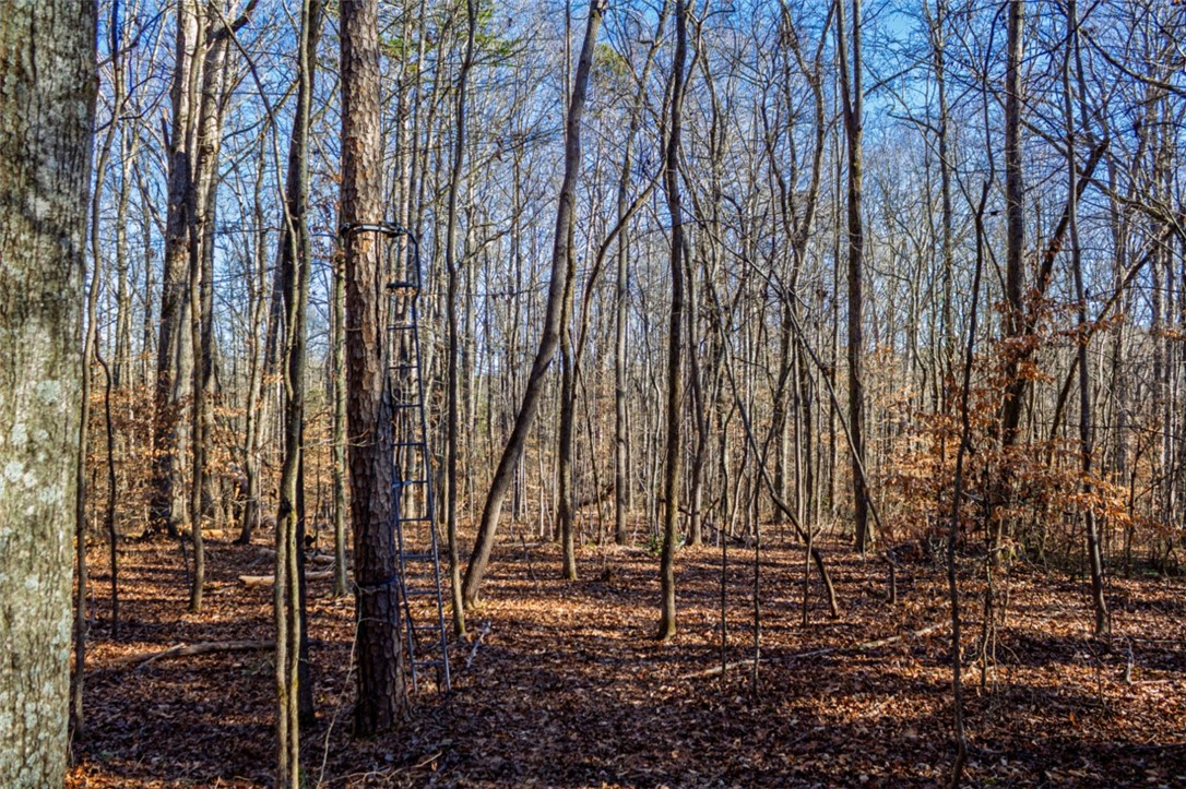 333 Match Play Lane Westminster, SC 29693 - Photo 46 of 50
