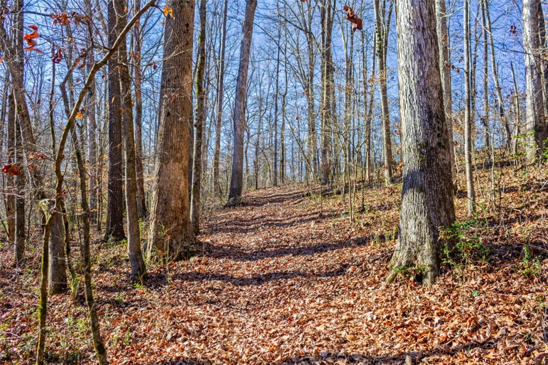 333 Match Play Lane Westminster, SC 29693 - Photo 47 of 50