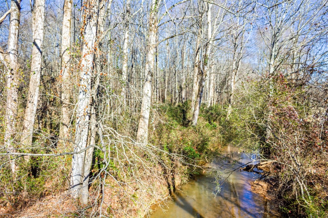 333 Match Play Lane Westminster, SC 29693 - Photo 48 of 50