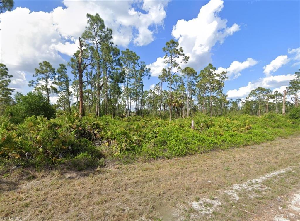 1111 Plantation Road Lehigh Acres, FL 33974 - Photo 4 of 5 Gallery Image 4