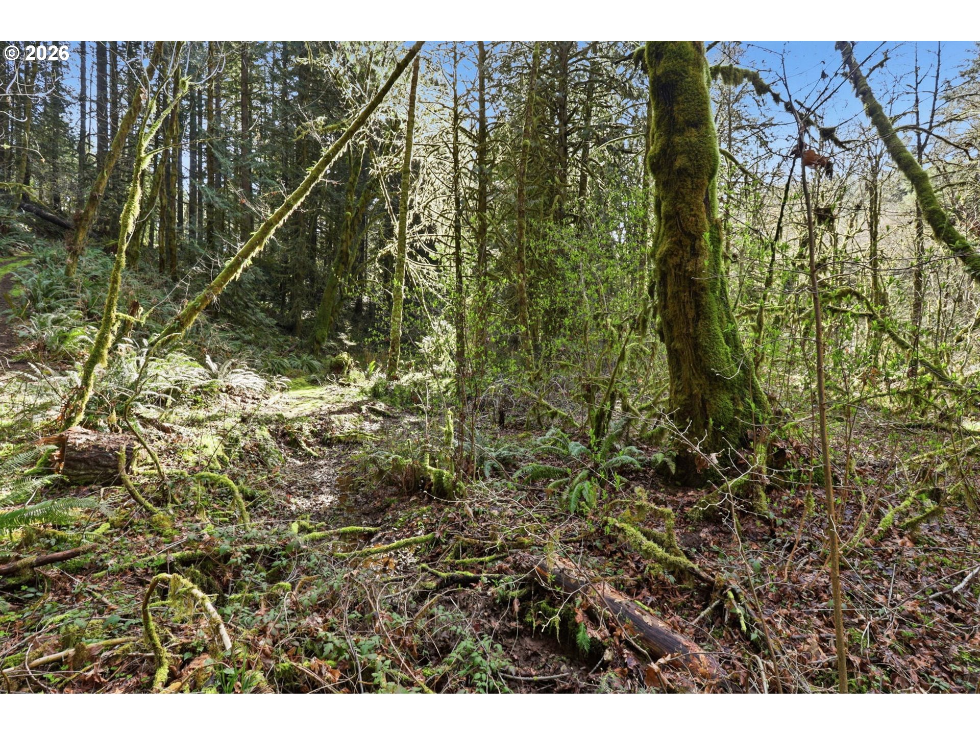 0 Northwest Green Mountain Road Banks, OR 97106 - Photo 21 of 36