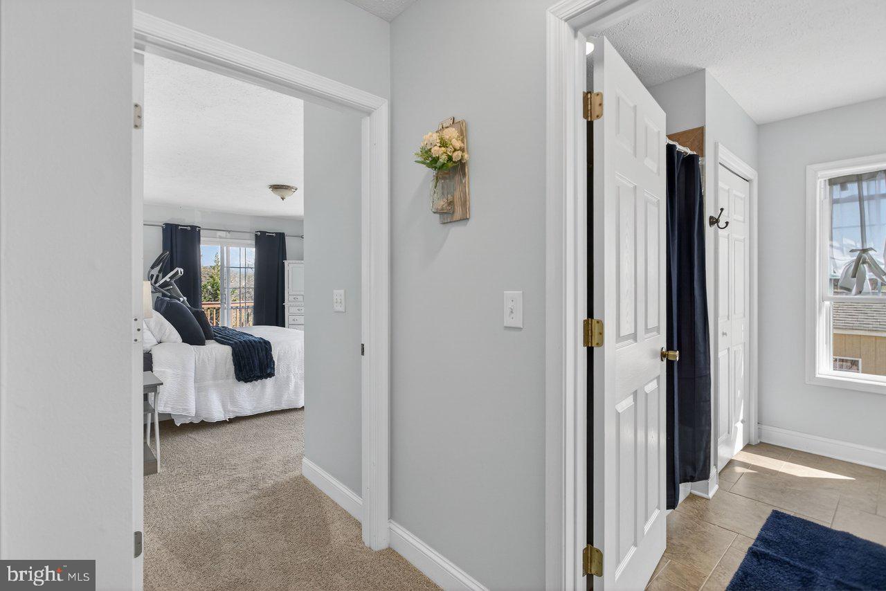 798 Turkey Knob Road Quicksburg, VA 22847 - Photo 33 of 82