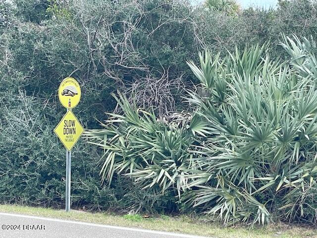 4415 South Atlantic Avenue Ponce Inlet, FL 32127 - Photo 4 of 14 a view of a bench in a forest