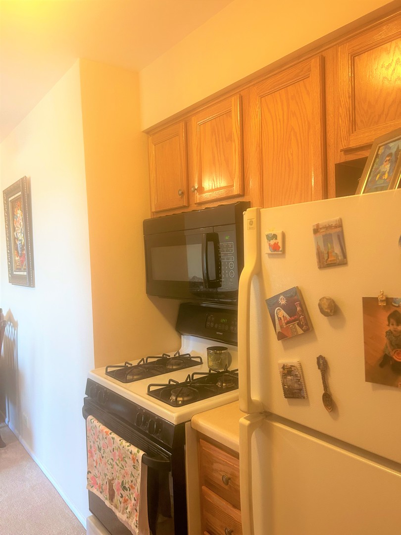 1880 Bonnie Lane, Unit 417 Hoffman Estates, IL 60169 - Photo 8 of 14 a utility room with dryer and washer