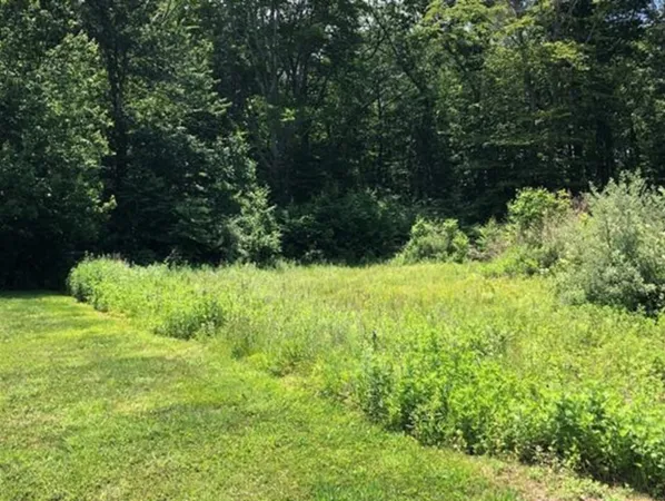 a view of a garden