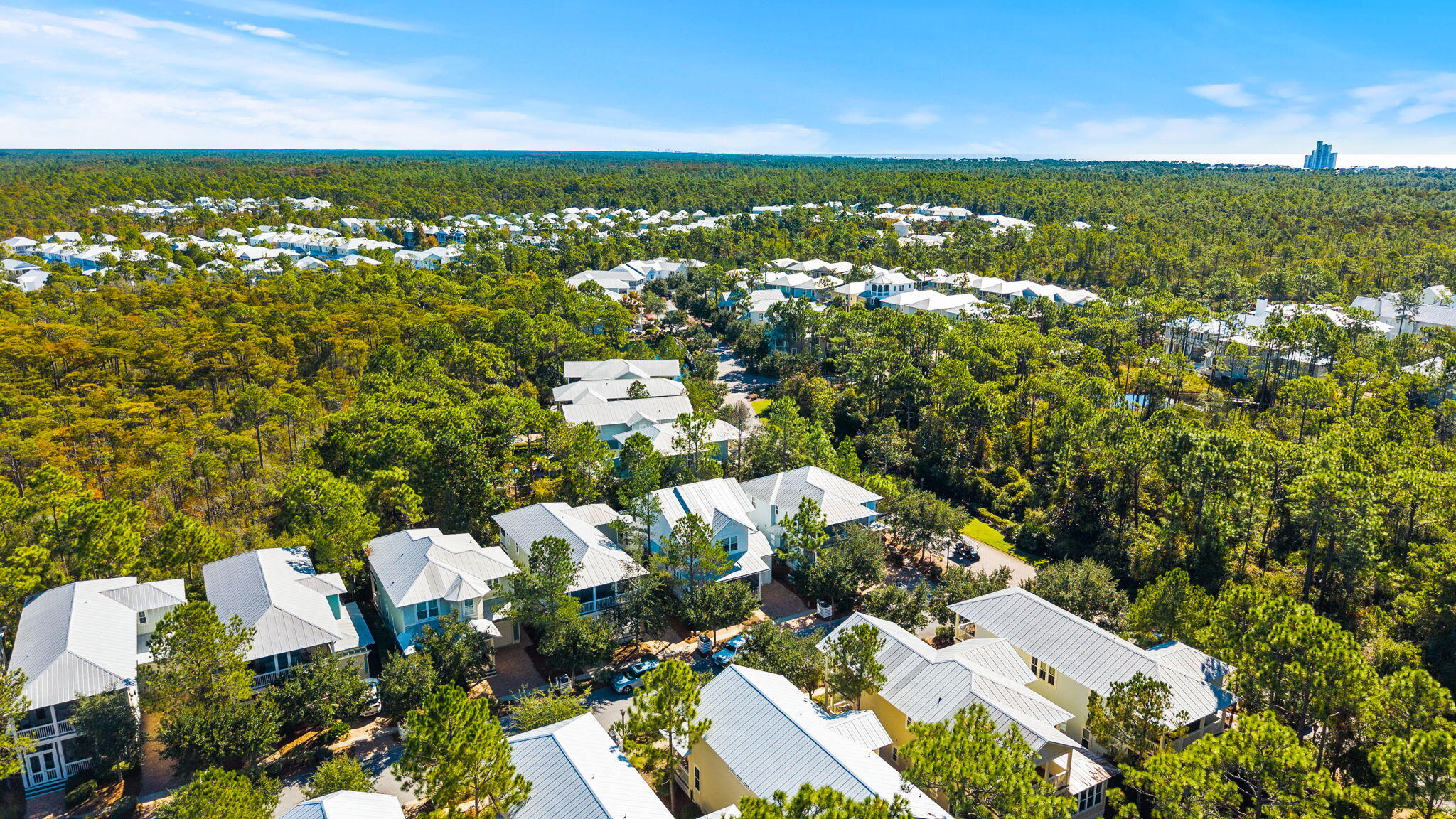 20 Beargrass Way Santa Rosa Beach, FL 32459 - Photo 39 of 50 an aerial view of residential houses with outdoor space and trees