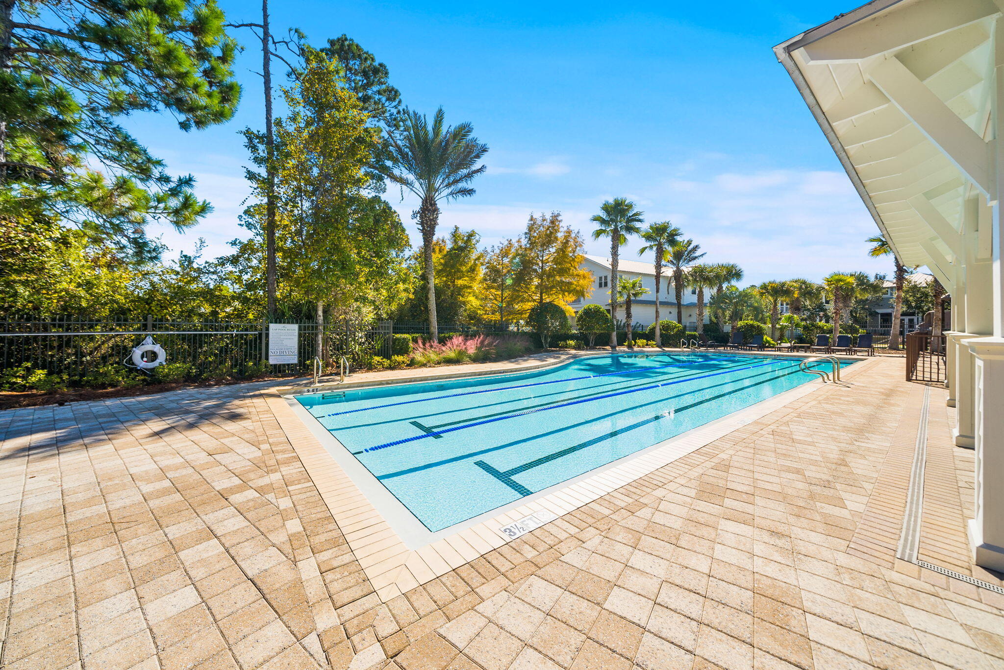 20 Beargrass Way Santa Rosa Beach, FL 32459 - Photo 45 of 50 a park view with large trees