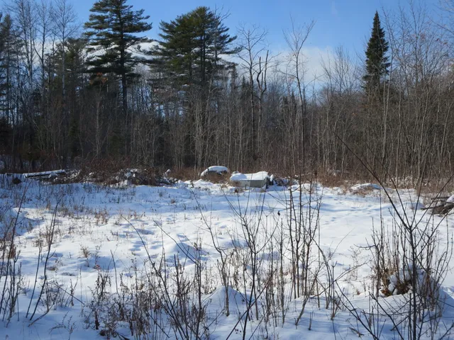 $35,000 | Lot 6-1 Harmon Street, Milo, ME 04463