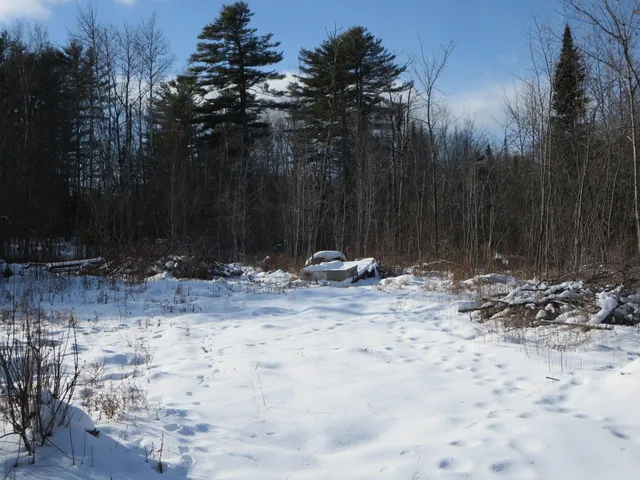 $35,000 | Lot 6-1 Harmon Street, Milo, ME 04463