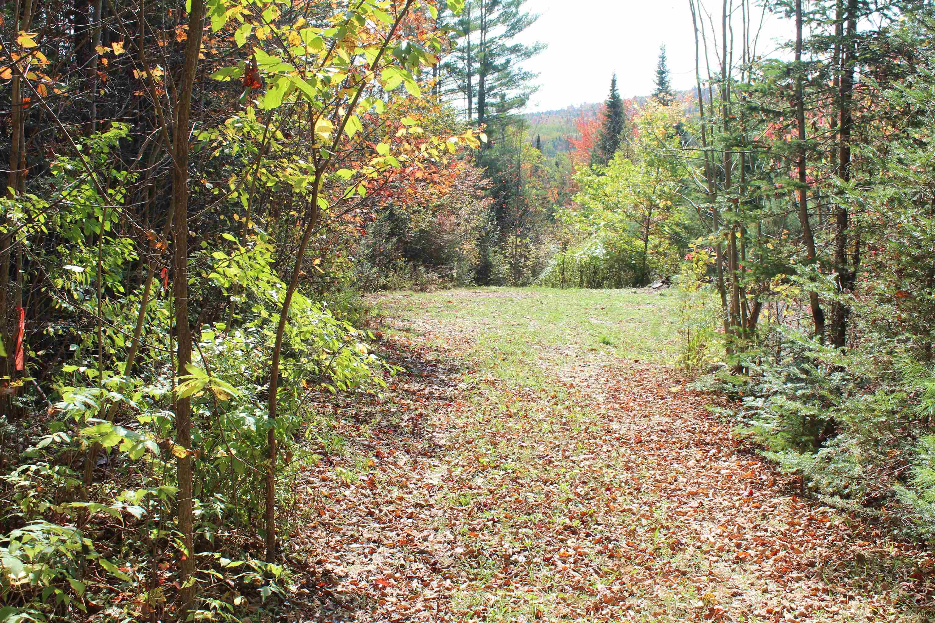 0 Miles Pond Road North Concord, VT 05858 - Photo 12 of 18
