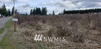 1102 Northwest Rhoton Road Yelm, WA 98597 - Photo 3 of 3 Gallery Image 3