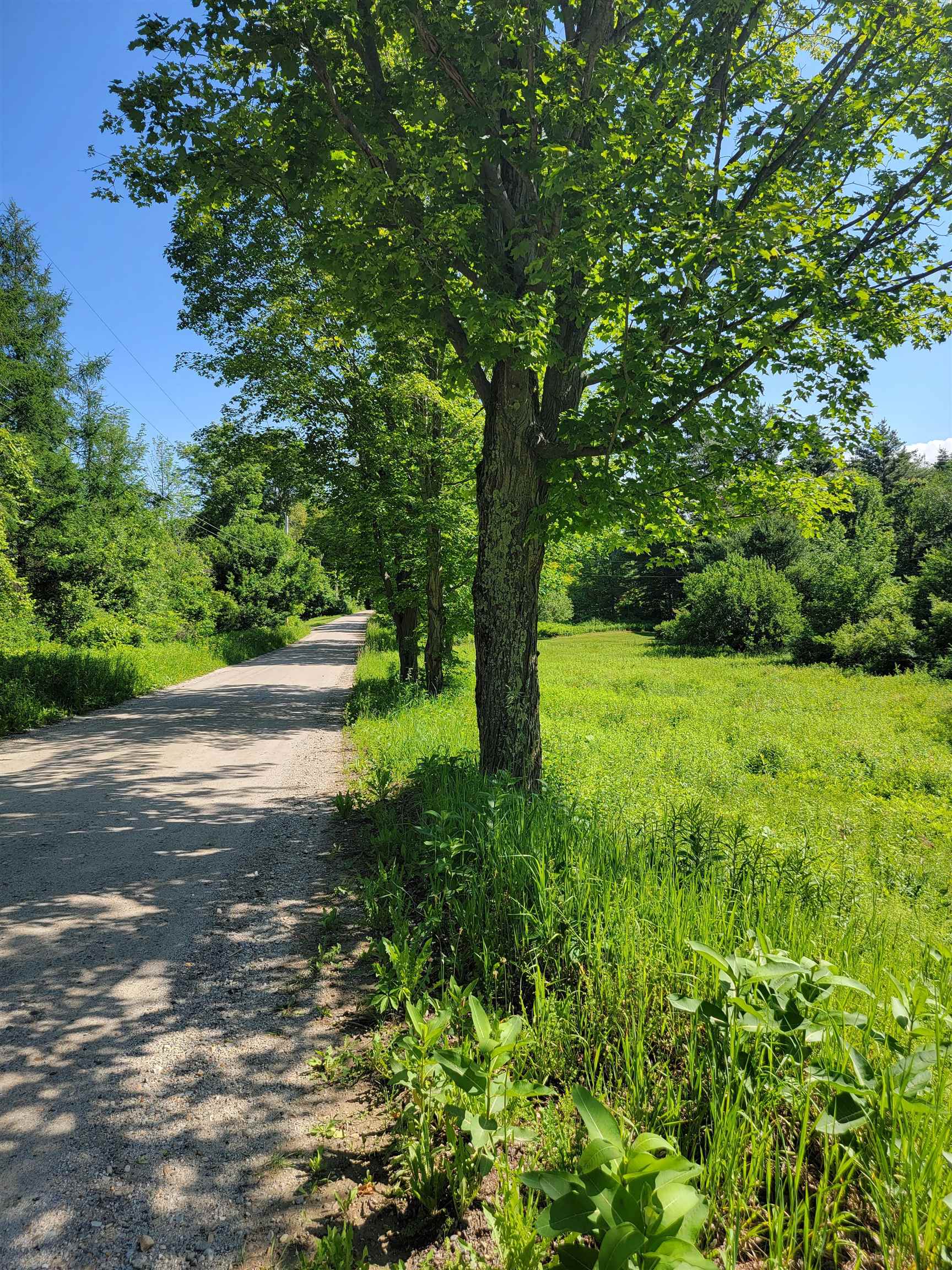 0 Schenkar Road Pownal, VT 05261 - Photo 11 of 18