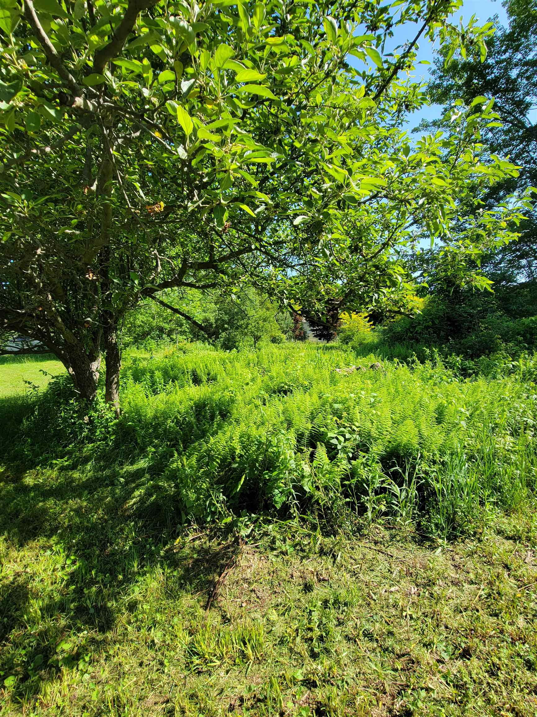 0 Schenkar Road Pownal, VT 05261 - Photo 7 of 18