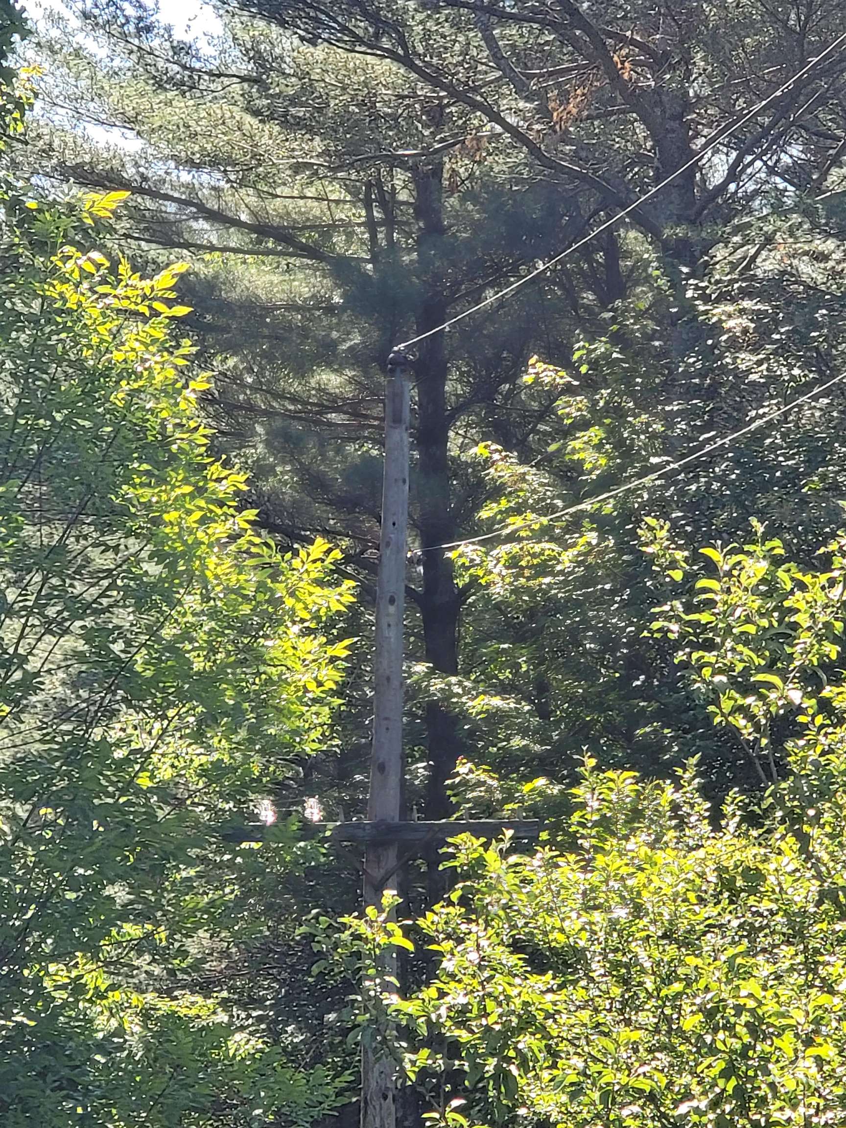 0 Schenkar Road Pownal, VT 05261 - Photo 9 of 18