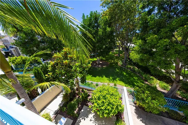 a view of a garden with plants