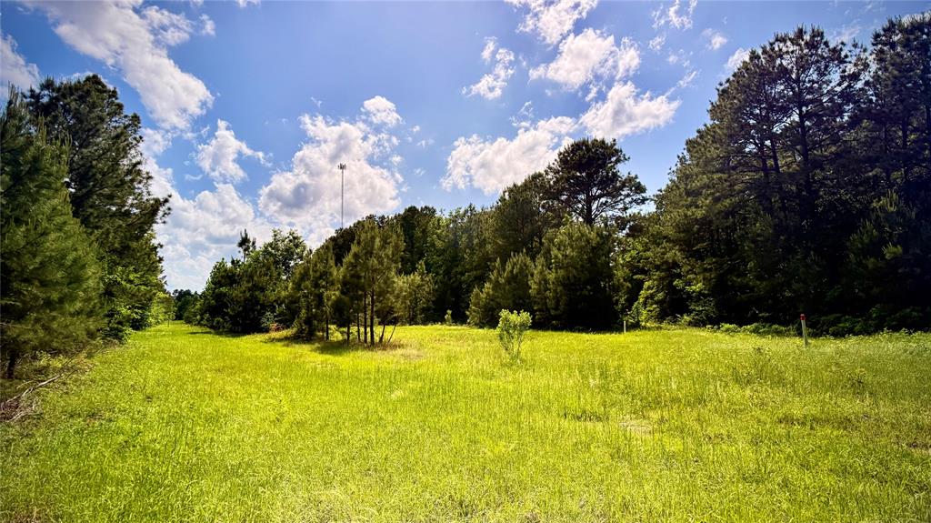 0 Bethel Road Frierson, LA 71027 - Photo 12 of 16 a view of swimming pool with an outdoor space