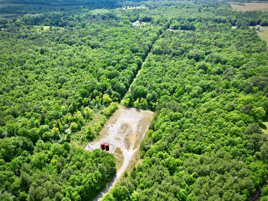0 Bethel Road Frierson, LA 71027 - Photo 3 of 16 an aerial view of a house with a yard