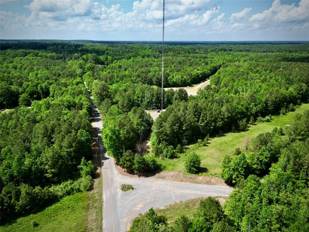 0 Bethel Road Frierson, LA 71027 - Photo 4 of 16 a view of yard with green space