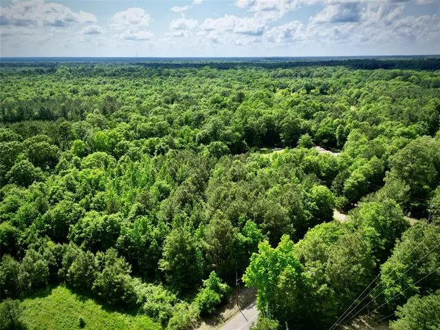 a view of a yard with plants