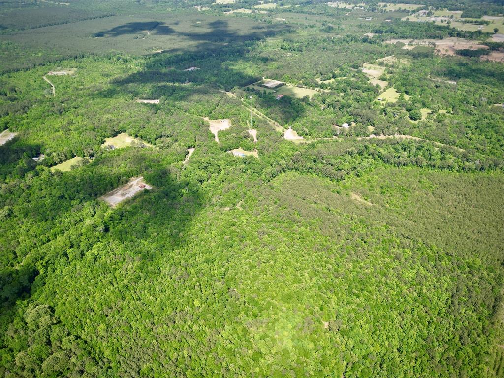 0 Bethel Road Frierson, LA 71027 - Photo 7 of 16 a view of a yard