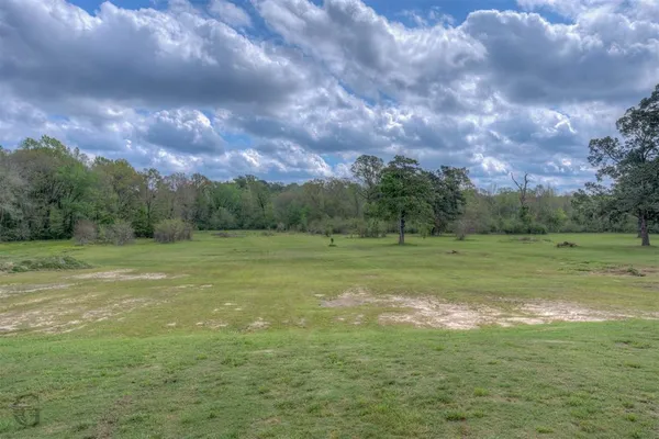 a view of a green field with an trees