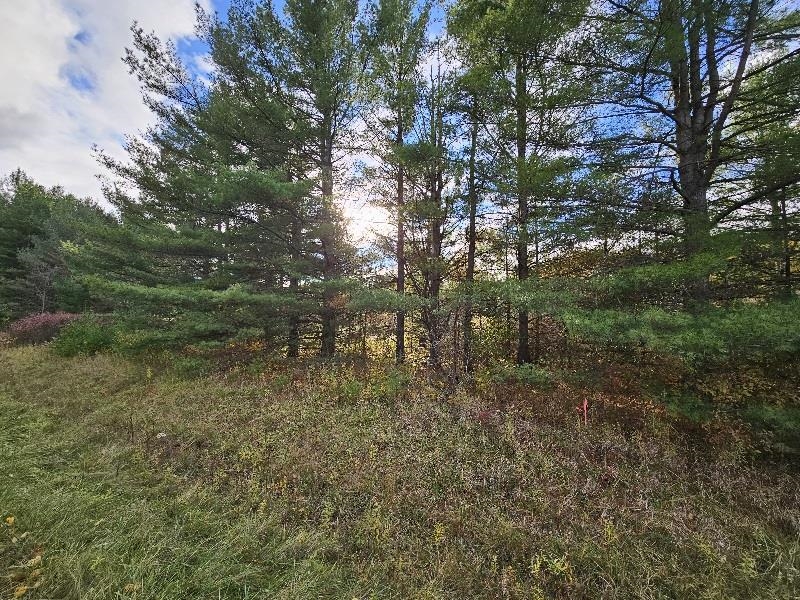 20 Acres Deerhaven Road Alger, MI 48610 - Photo 1 of 6