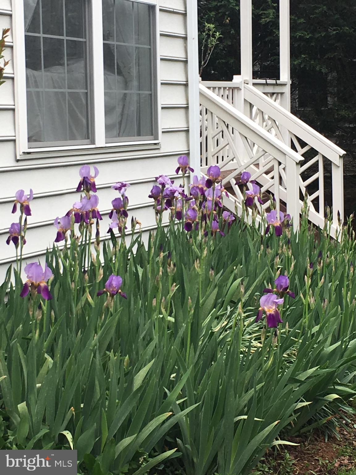 47588 Compton Circle Sterling, VA 20165 - Photo 22 of 38