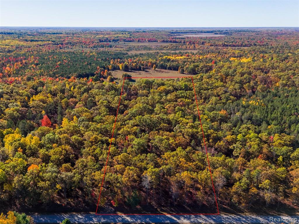 0 Grim Road Bentley, MI 48613 - Photo 6 of 15