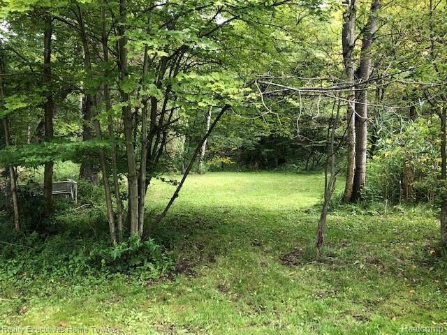 4380 Rabidue Road North Street, MI 48049 - Photo 11 of 29 IMG_2789.jpg