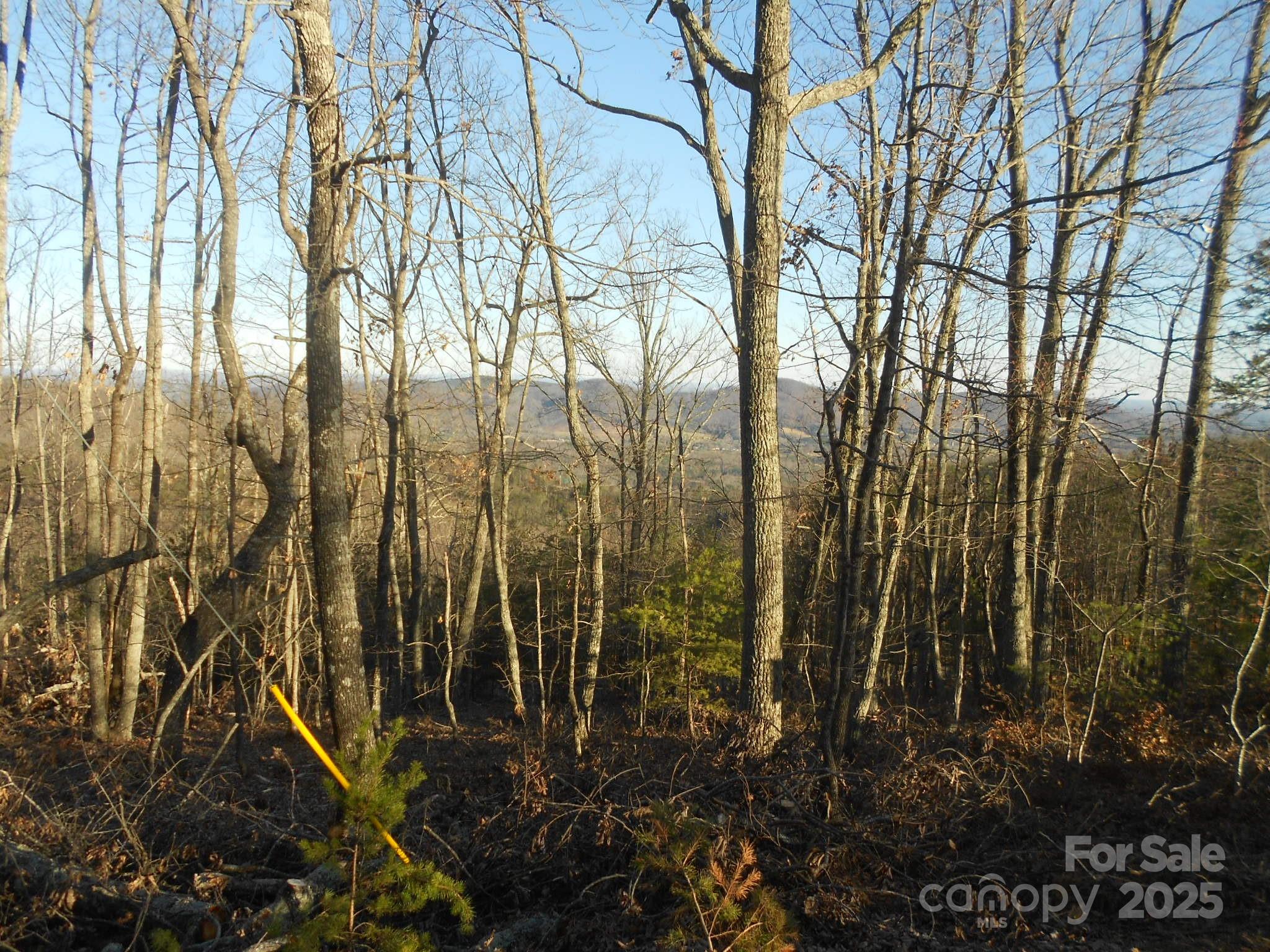 0 Arbra Mountain Road, Unit 54 Bostic, NC 28018 - Photo 1 of 10 a view of under construction area