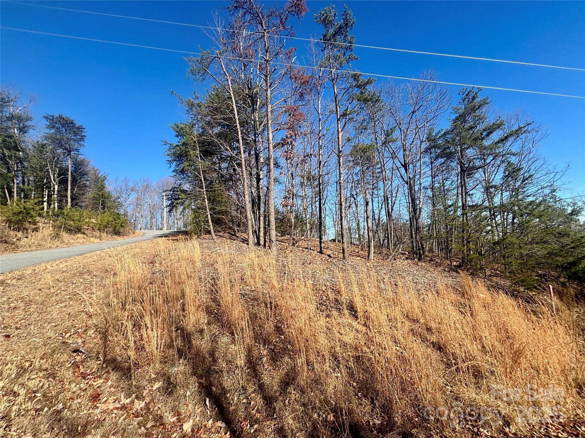 0 Arbra Mountain Road, Unit 54 Bostic, NC 28018 - Photo 8 of 10 a view of a yard with trees