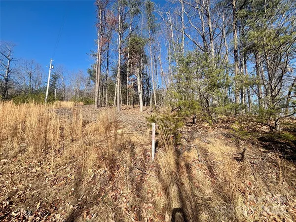 a view of a backyard of the house