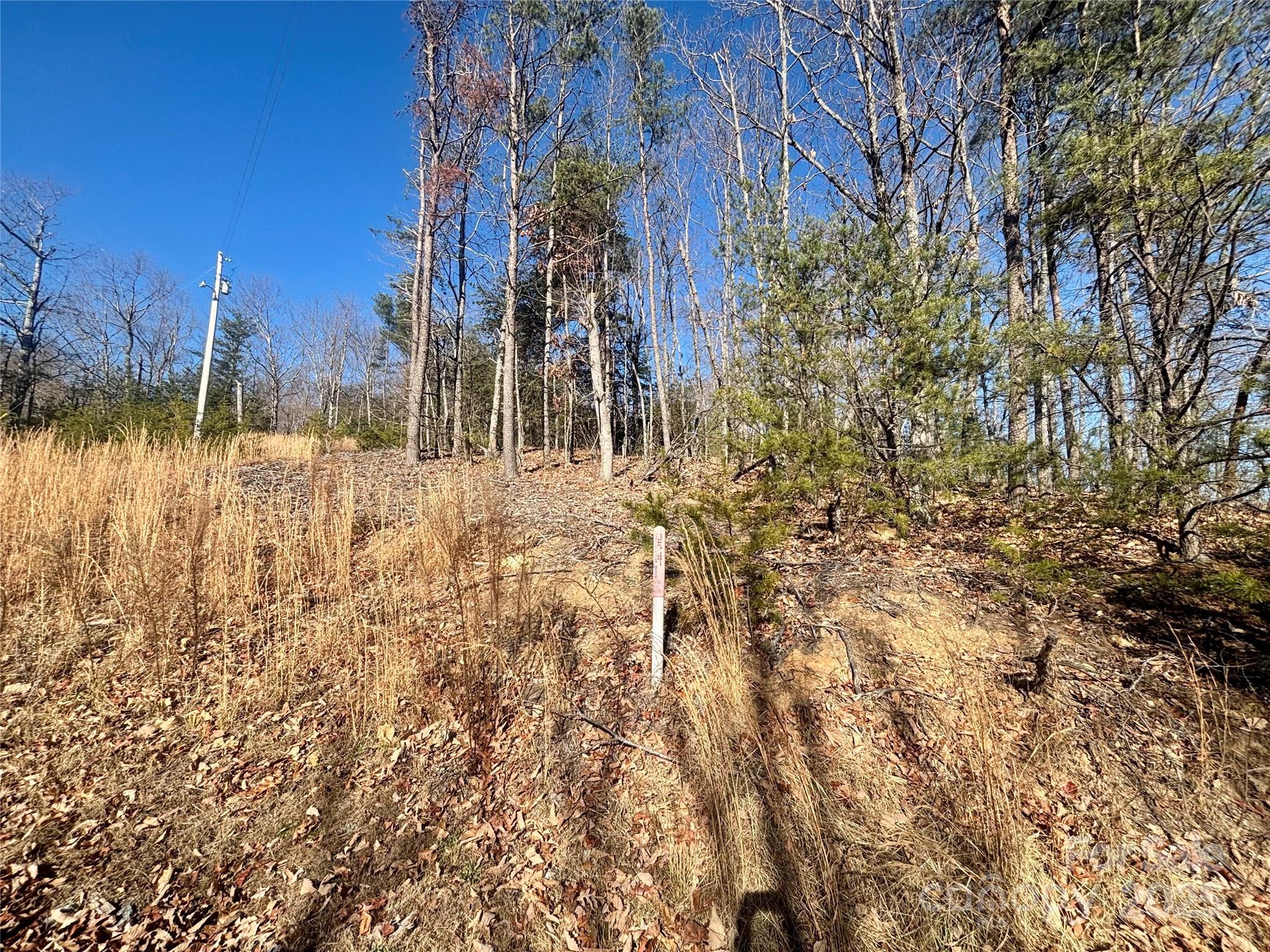 0 Arbra Mountain Road, Unit 54 Bostic, NC 28018 - Photo 9 of 10 a view of a yard with a house in the background