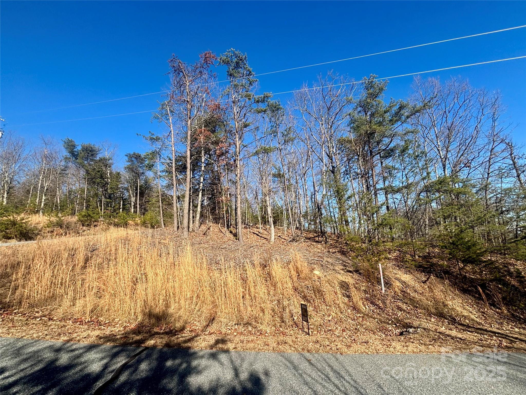 0 Arbra Mountain Road, Unit 54 Bostic, NC 28018 - Photo 10 of 10 a view of a backyard of the house