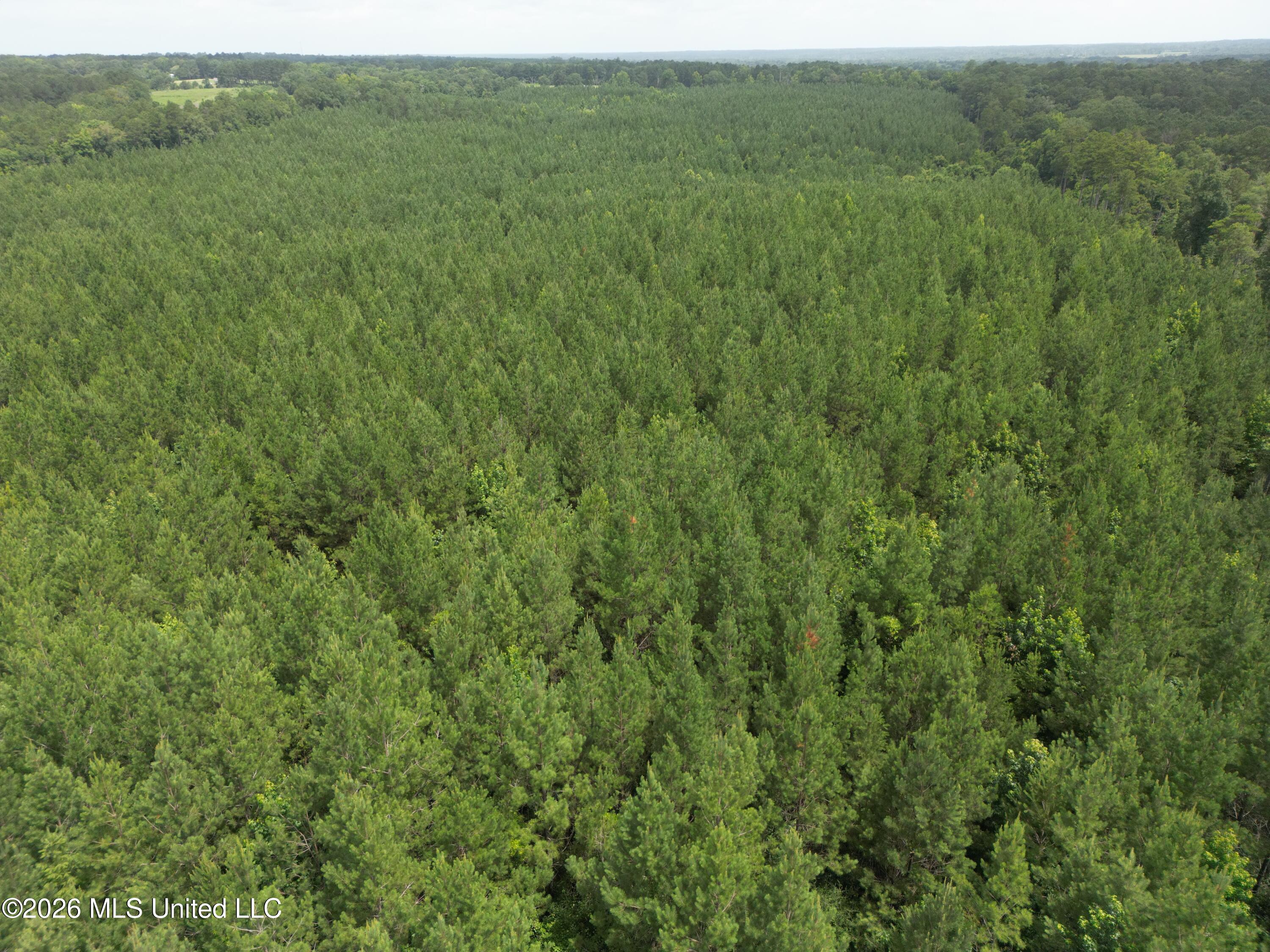Summit Holmesville Road McComb, MS 39648 - Photo 5 of 29 DJI_0613