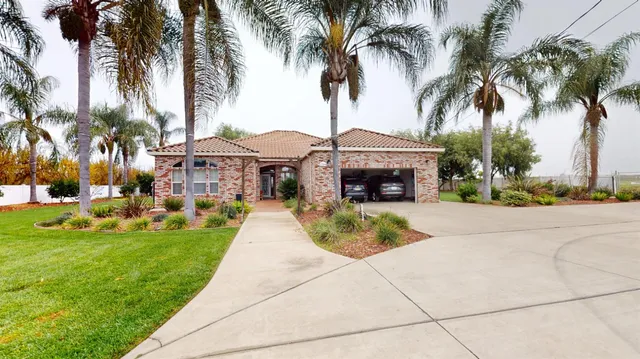 a view of a yard with palm trees