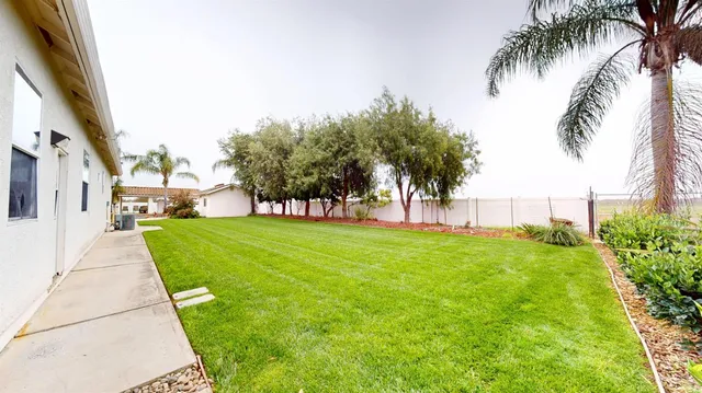 a view of a park with palm trees