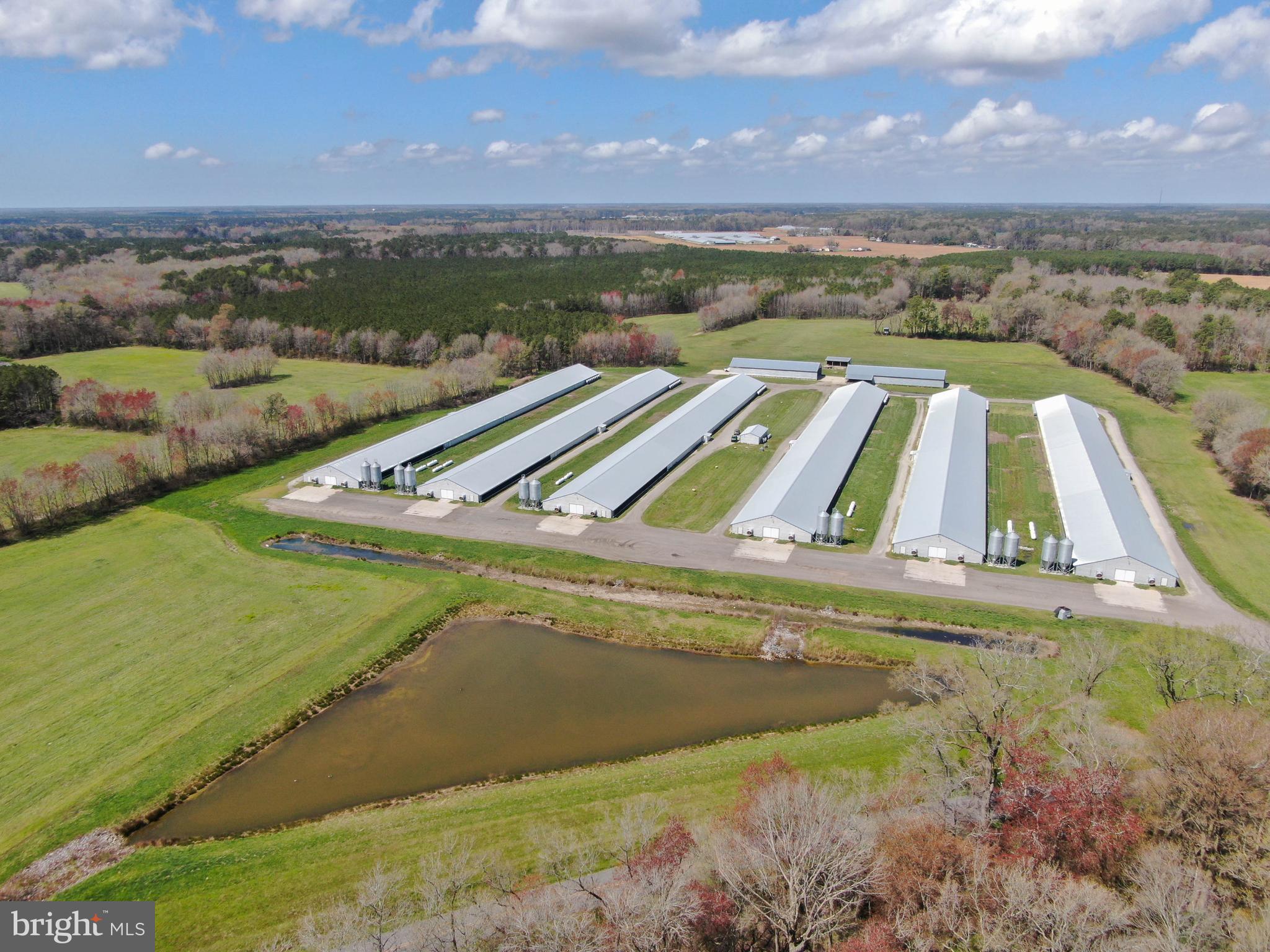 1143 Buck Harbor Road Pocomoke City, MD 21851 - Photo 11 of 19 Aerial 7