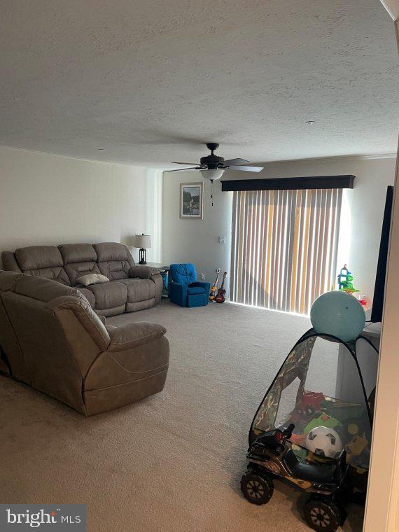 1143 Buck Harbor Road Pocomoke City, MD 21851 - Photo 19 of 19 Living Room