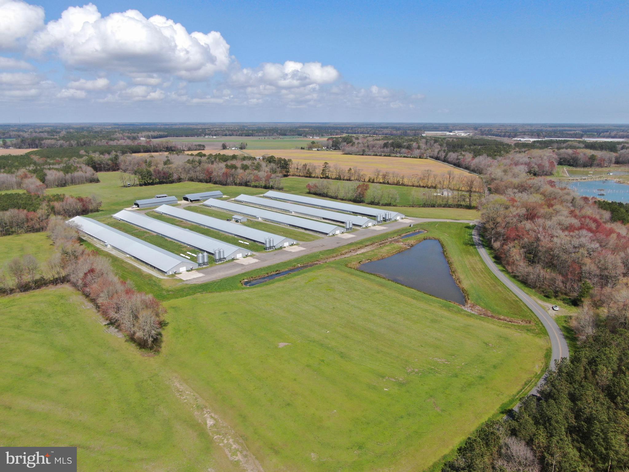 1143 Buck Harbor Road Pocomoke City, MD 21851 - Photo 4 of 19 Aerial 2