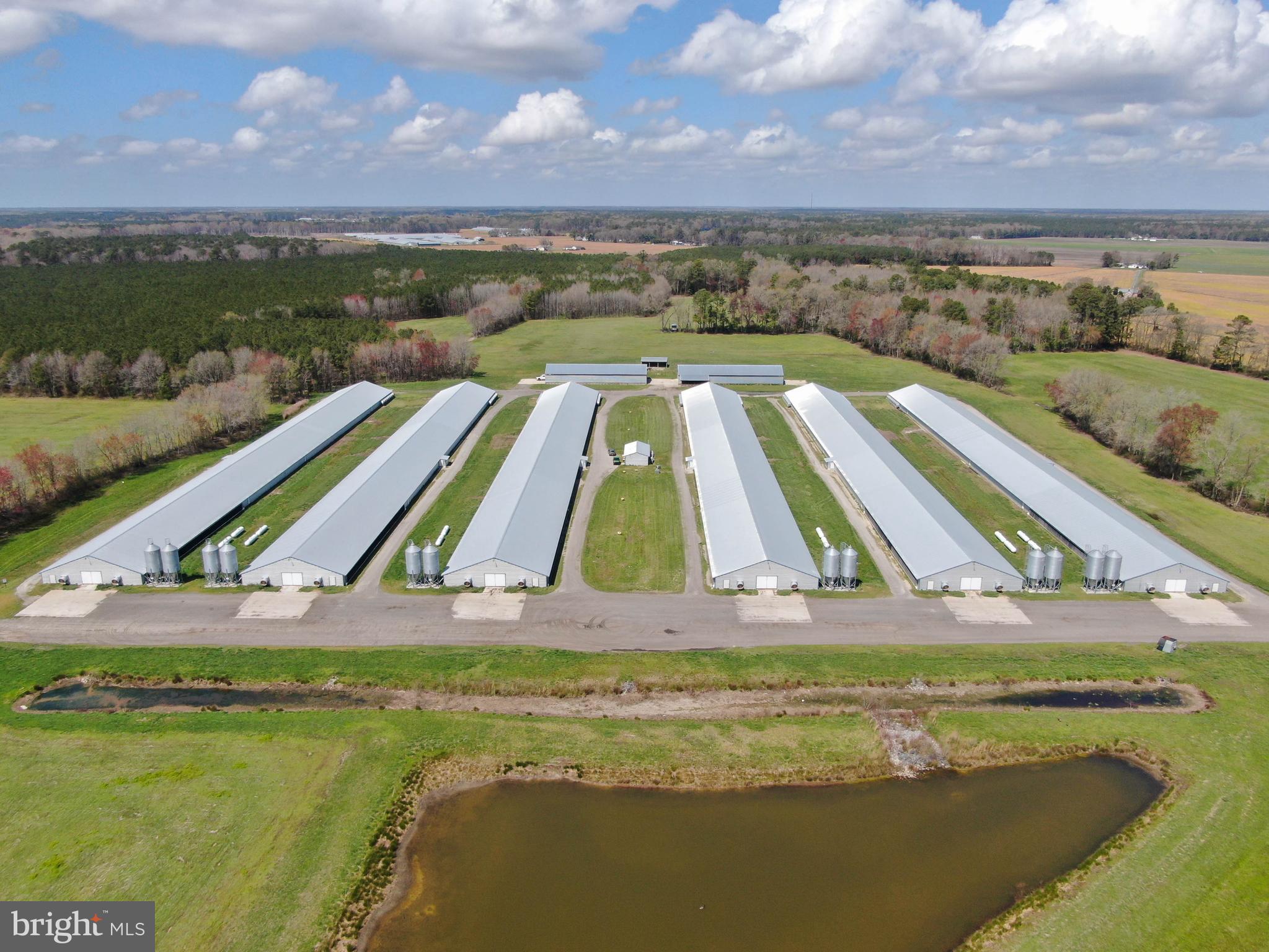 1143 Buck Harbor Road Pocomoke City, MD 21851 - Photo 6 of 19 Aerial 4