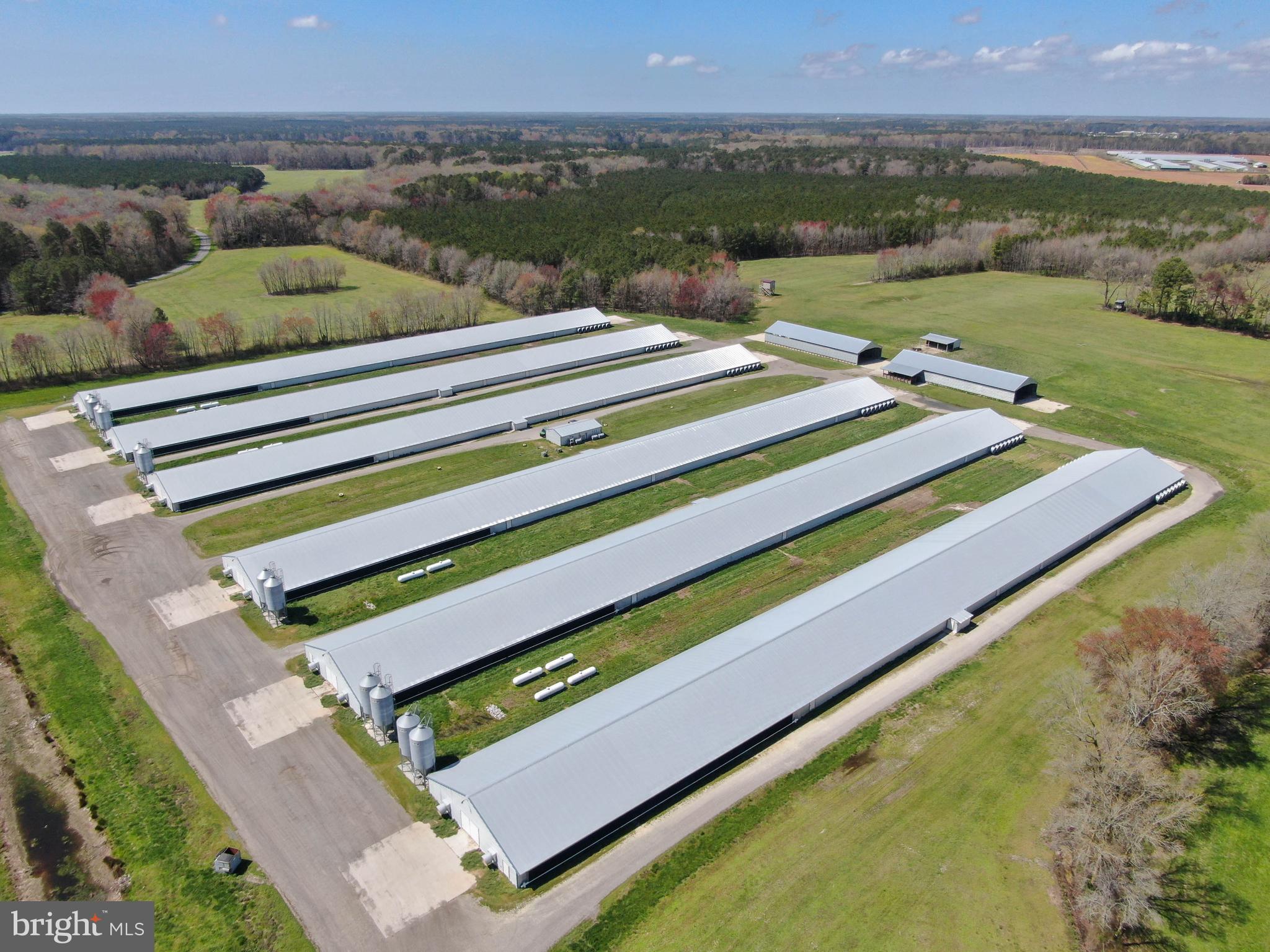 1143 Buck Harbor Road Pocomoke City, MD 21851 - Photo 10 of 19 Aerial 6