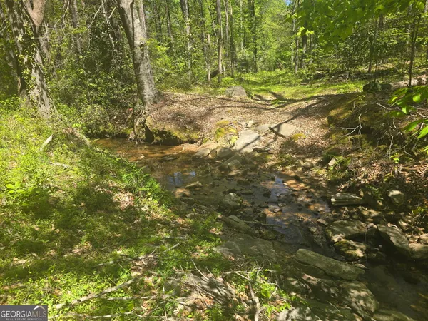 $45,000 | 0 Hilltop Lane, Toccoa, GA 30577