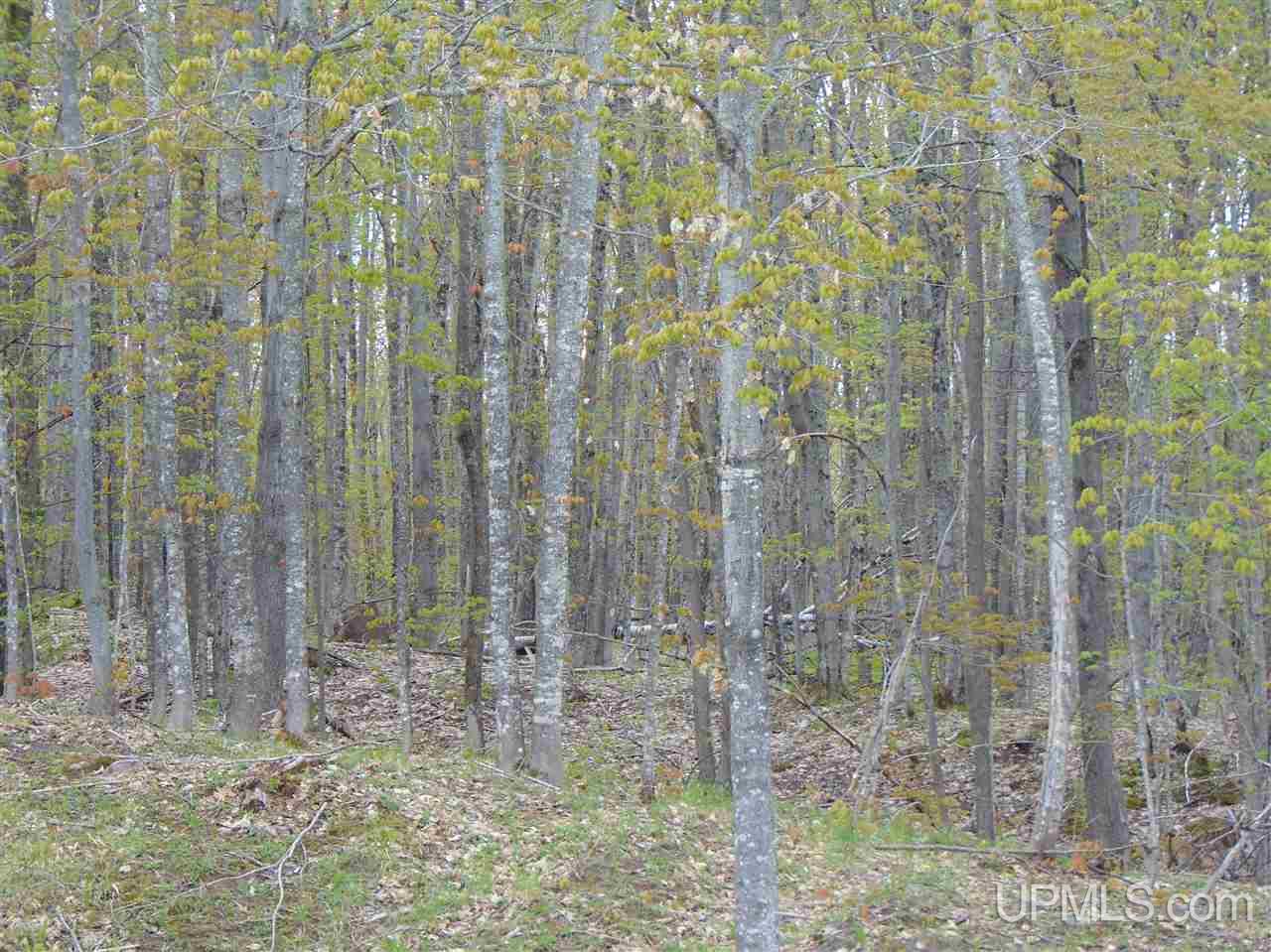 34861 Apple Seed Road, Unit TAPIOLA Chassell, MI 49916 - Photo 56 of 61