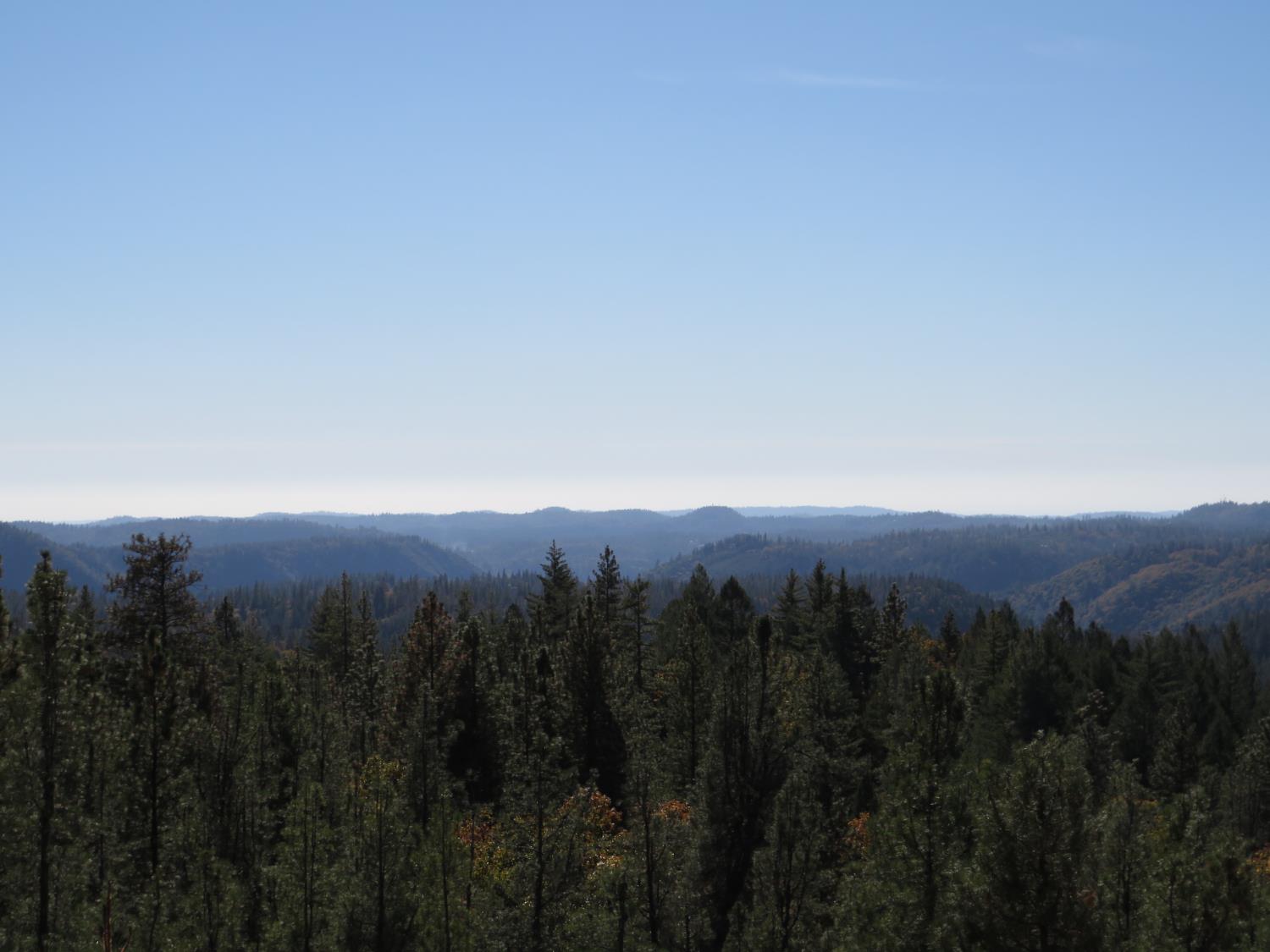 31180 Knob Cone Road Gold Run, CA 95717 - Photo 36 of 70